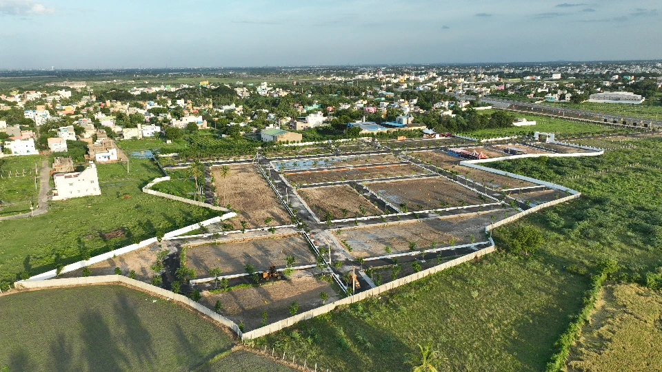 Python Django Project